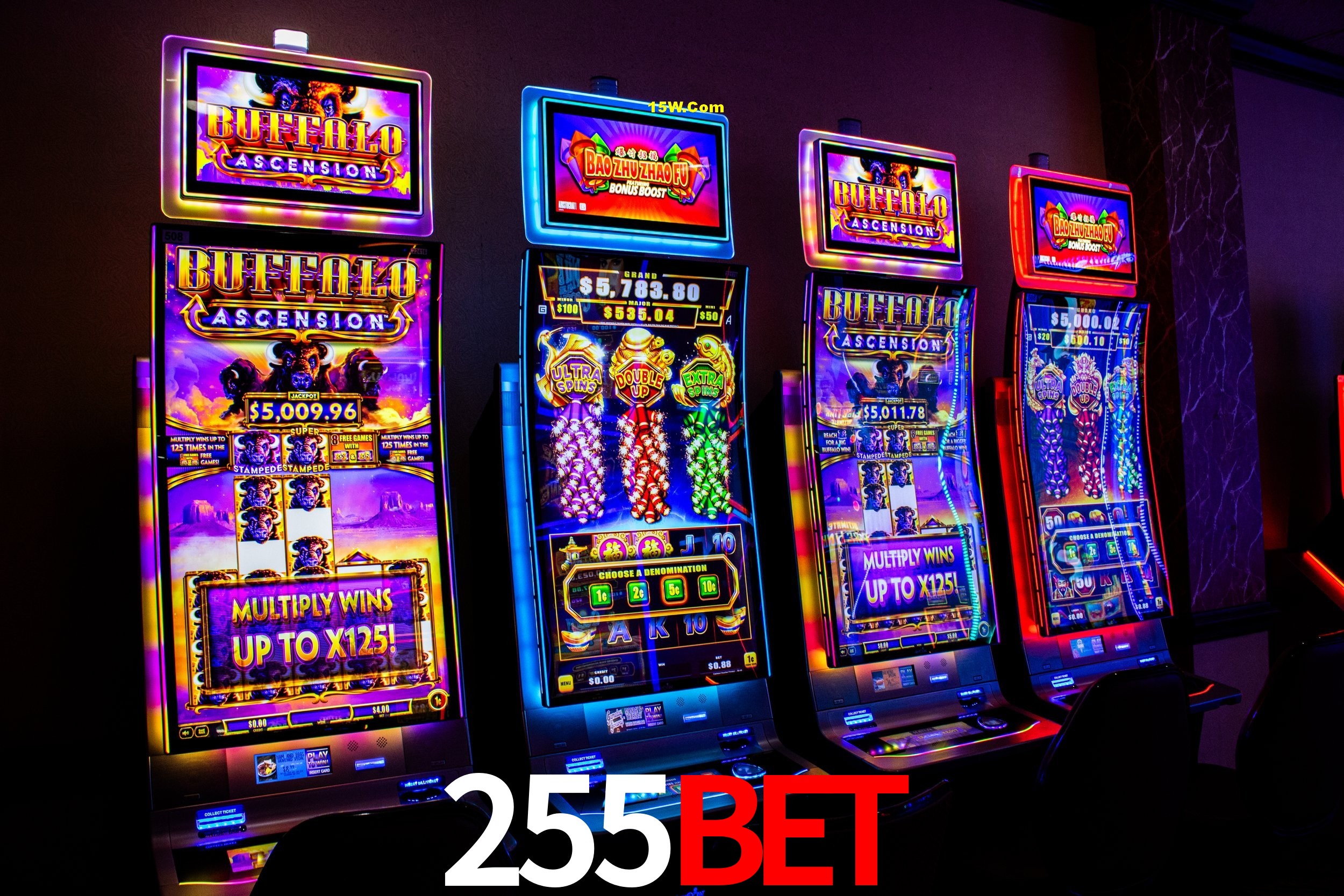 Account Benefits 255Bet